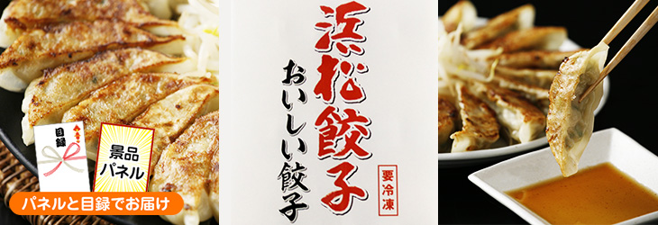 特選はままつ餃子 30個入り