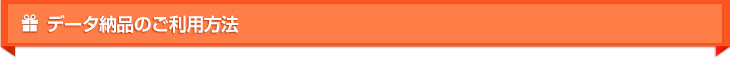 データ納品のご利用方法