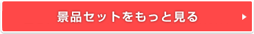 景品単品（パネル・目録付）をもっと見る