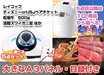 【景品5点・10万円セット】レイコップ、ディズニー・USJペアチケット、松坂牛300gなど選べる景品セット